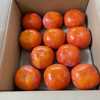 Fuyu persimmon 4L